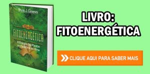 Livro Fitoenergética A Energia das Plantas no Equilíbrio da Alma